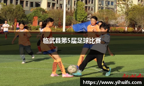 临武县第5届足球比赛