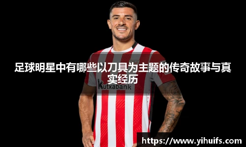 BB贝博登录入口